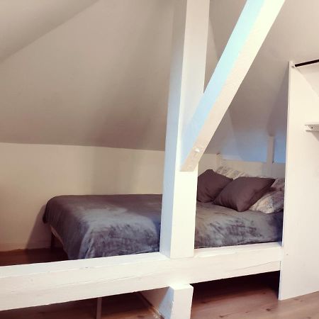 Au Bord Du Foron Apartment Scionzier Luaran gambar