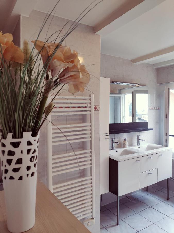 Au Bord Du Foron Apartment Scionzier Luaran gambar